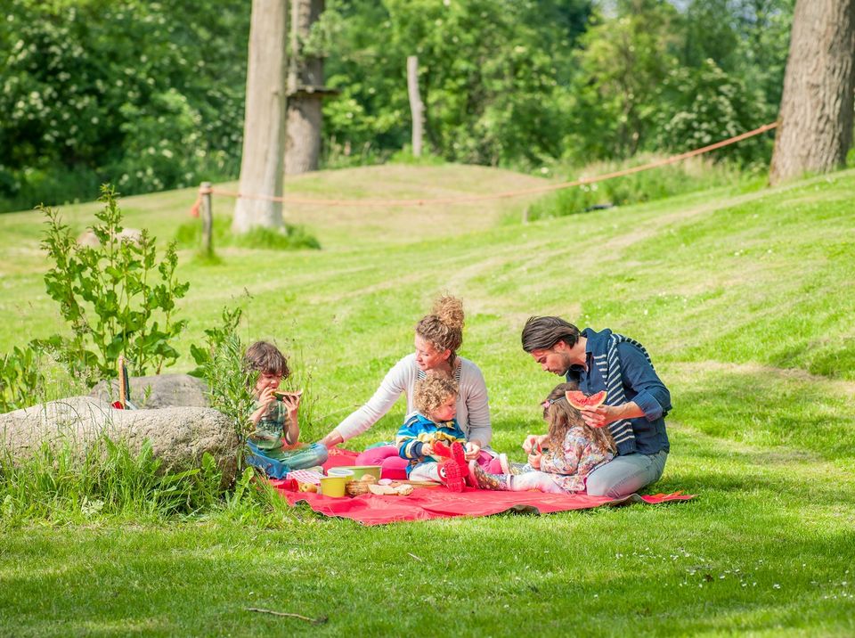 Gezin aan het picknicken