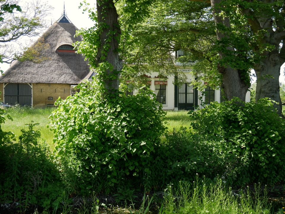 Sexbierum-St. Jacobiparochie | Klooster Claercamppad: etappe 13