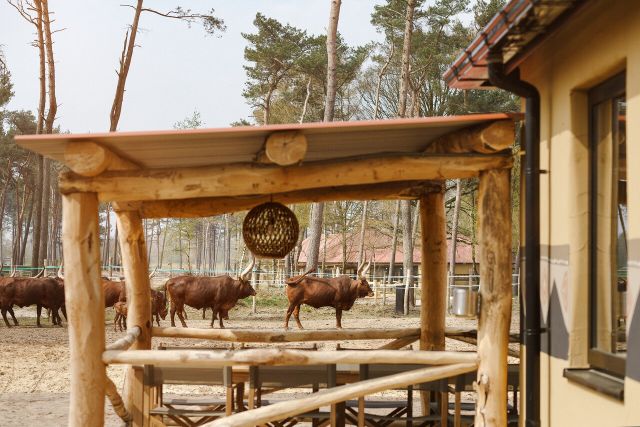 Beekse Bergen Safari Resort
