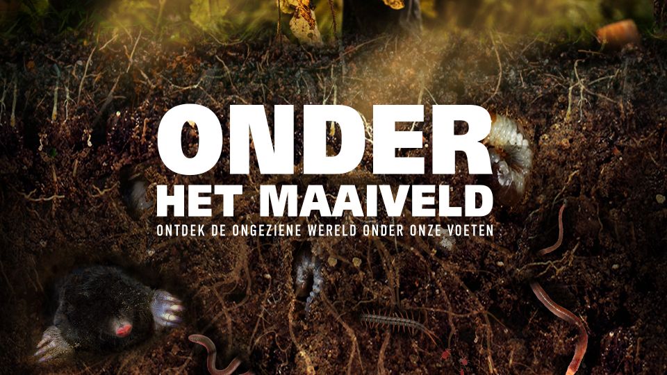 Onder de grond, mol en worm in de aarde