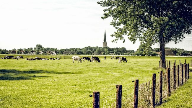 Tzum (Tsjom) | Visit Noardwest Fryslân