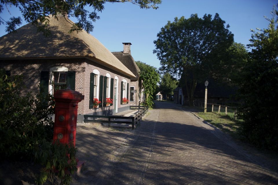 Dorpsstraatje met rietgedekte boerderijen.