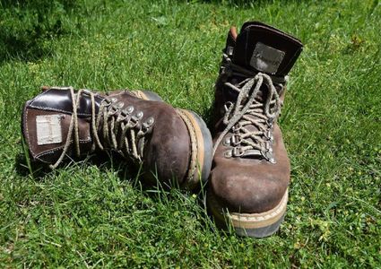 Wandelschoenen