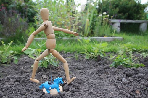 foto: Mieke de Wit