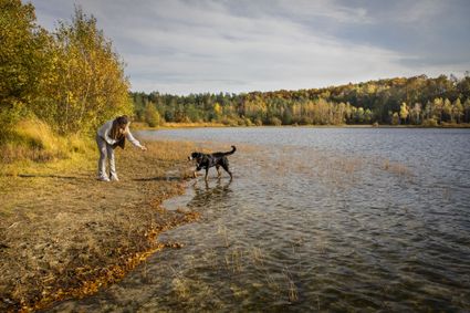 Mevrouw met hond bij het Canadameer in het Drents-Friese Wold.