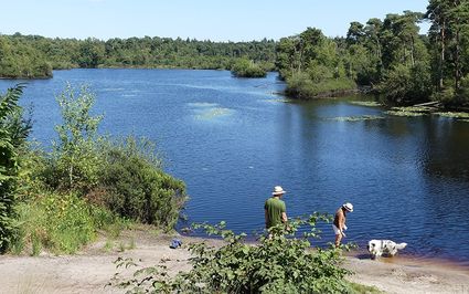 Twee mensen staan met hun hond bij een van de vennen in de Oisterwijkse Bossen en Vennen