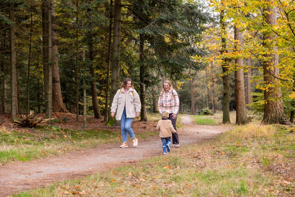 Parkbossen kunstroute