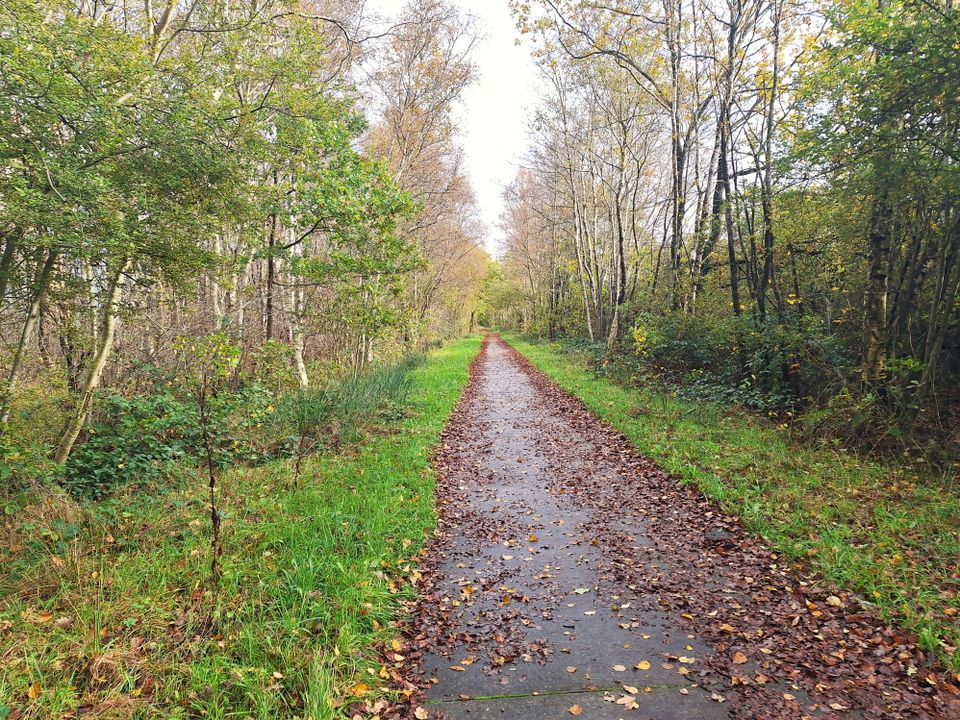 Ravenswoud - Fochteloërveen | wandelen langs de Turfroute