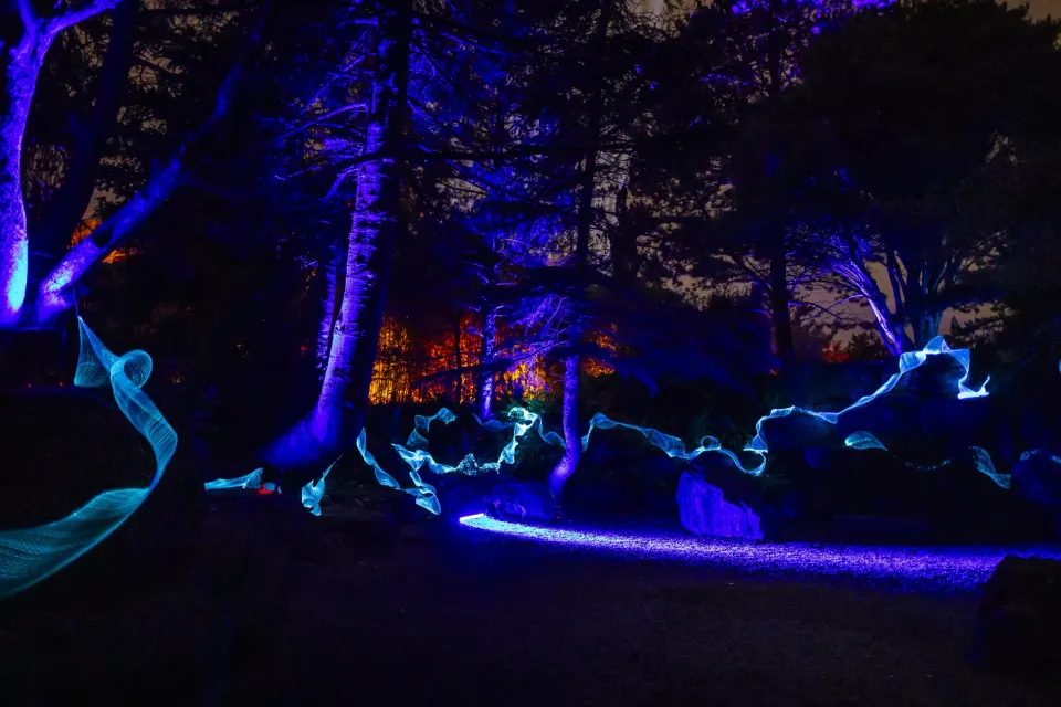 Licht show op het terrein tijdens Enchanted Gardens