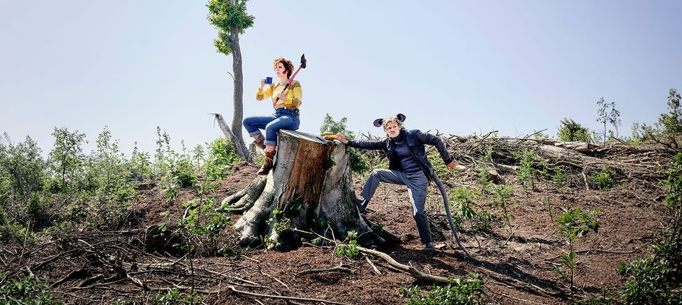 Programmering van Theater de Lievekamp