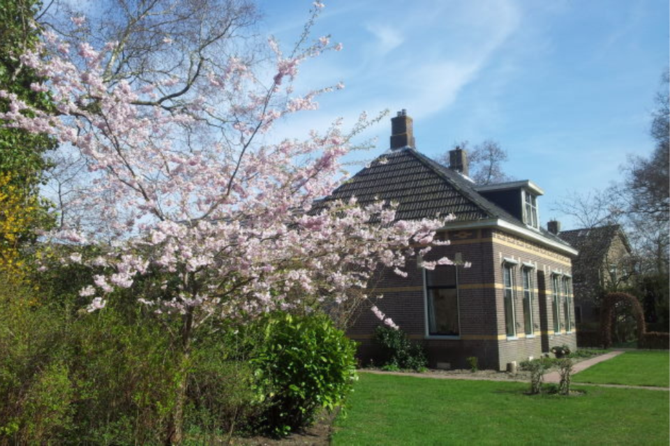 B&B Bij de Pinken - Eelde