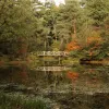 vijver Fonteinbos Oudemirdum