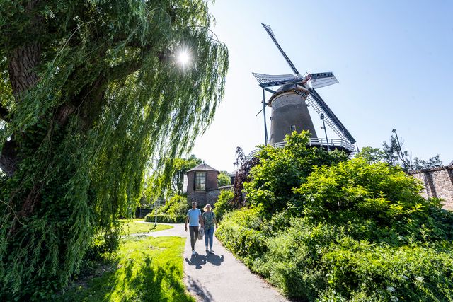 Twee wandelaars lopen over een parkpad langs korenmolen De Windotter in IJsselstein, omgeven door bomen en struiken, met de historische molen en zijn wieken in het zonlicht.