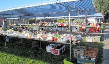 Rommelmarkt | Meddo op Koningsdag 2025