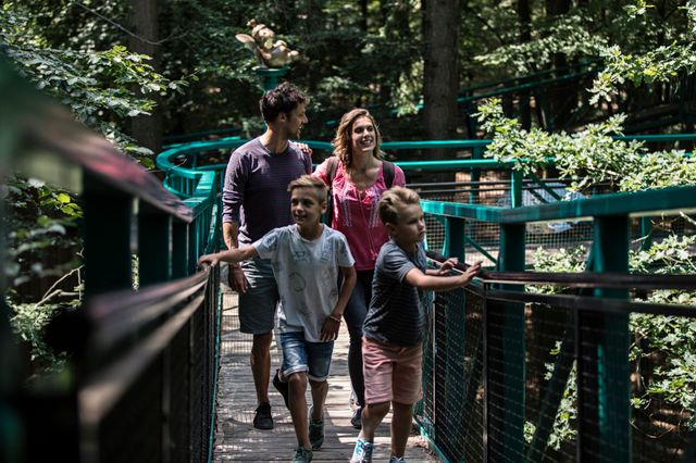 Een gezin met twee kinderen loopt tussen de toppen van de bomen over het Boomkroonpad.