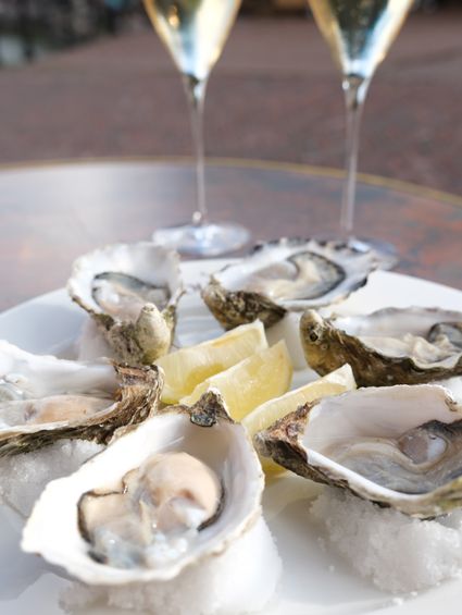 Oesters