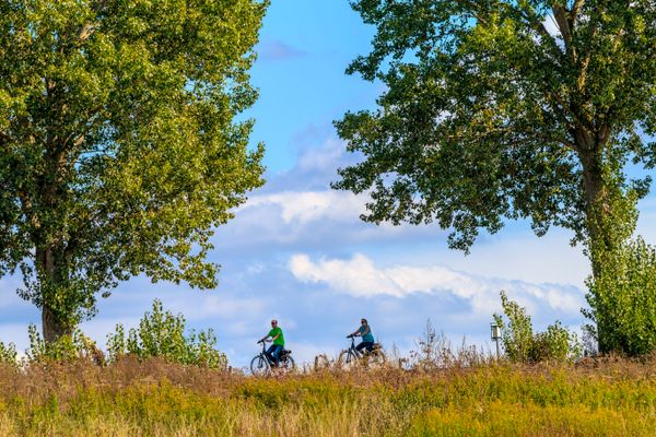 Fietsen in de Liemers op de dijk tussen de bomen