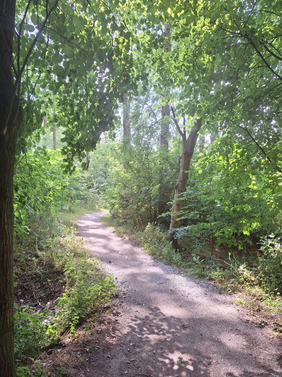 Kuiertocht Witmarsum