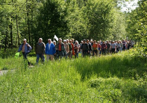 wandelgroep