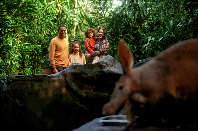 Gezin dat kijkt naar een aardvarken bij dierenpark Burgers' Zoo in Arnhem
