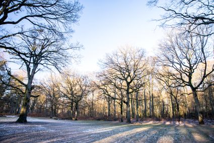 Happen en Meer Snertwandeling