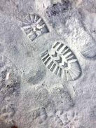 Winterse Wandeltocht Ventoux3