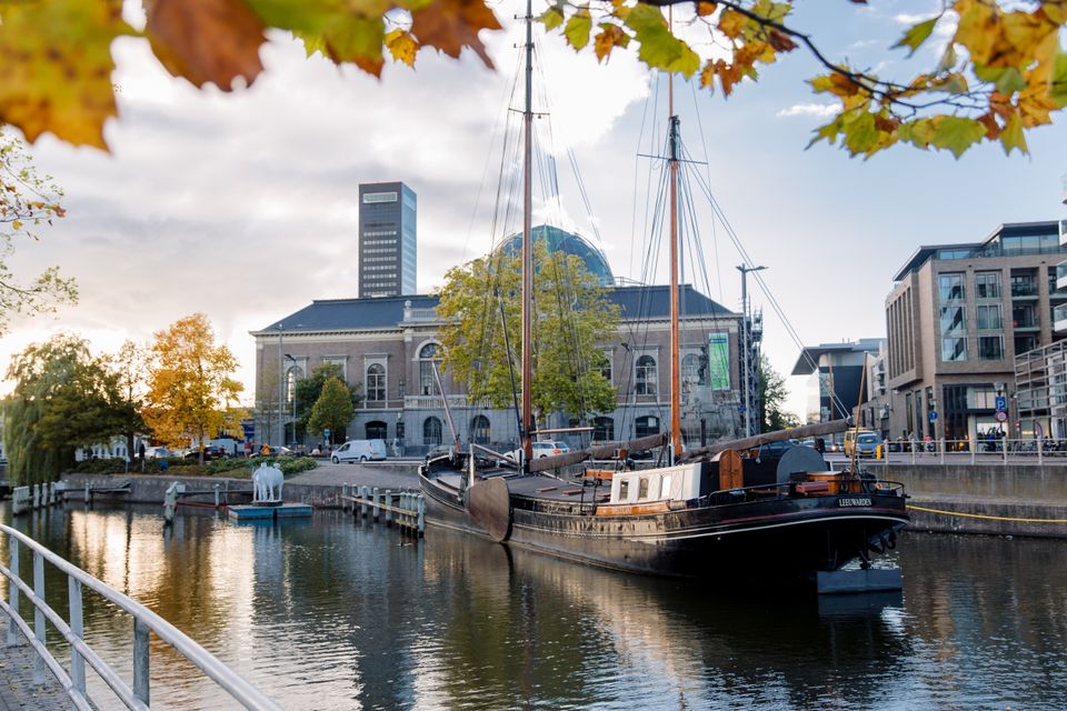 Museumhaven herfst