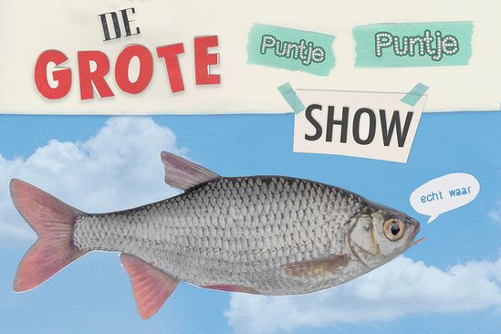 Winterkost: De Grote Puntje Puntje Show (7+)
