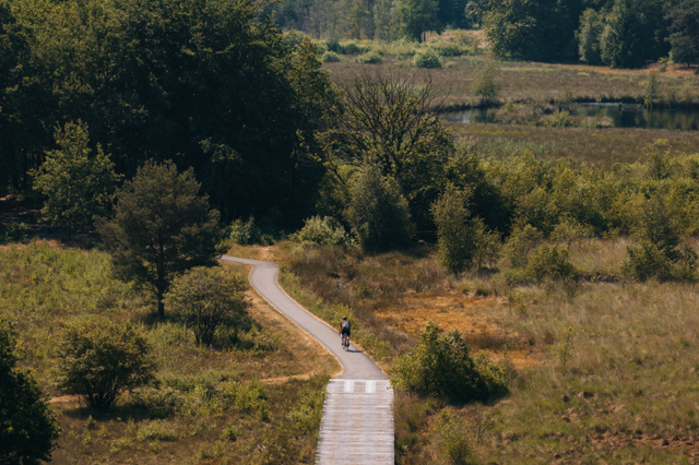 Een man fietst over een langgerekt plankenpad in natuurgebied Hart van Drenthe op een zonnige dag.