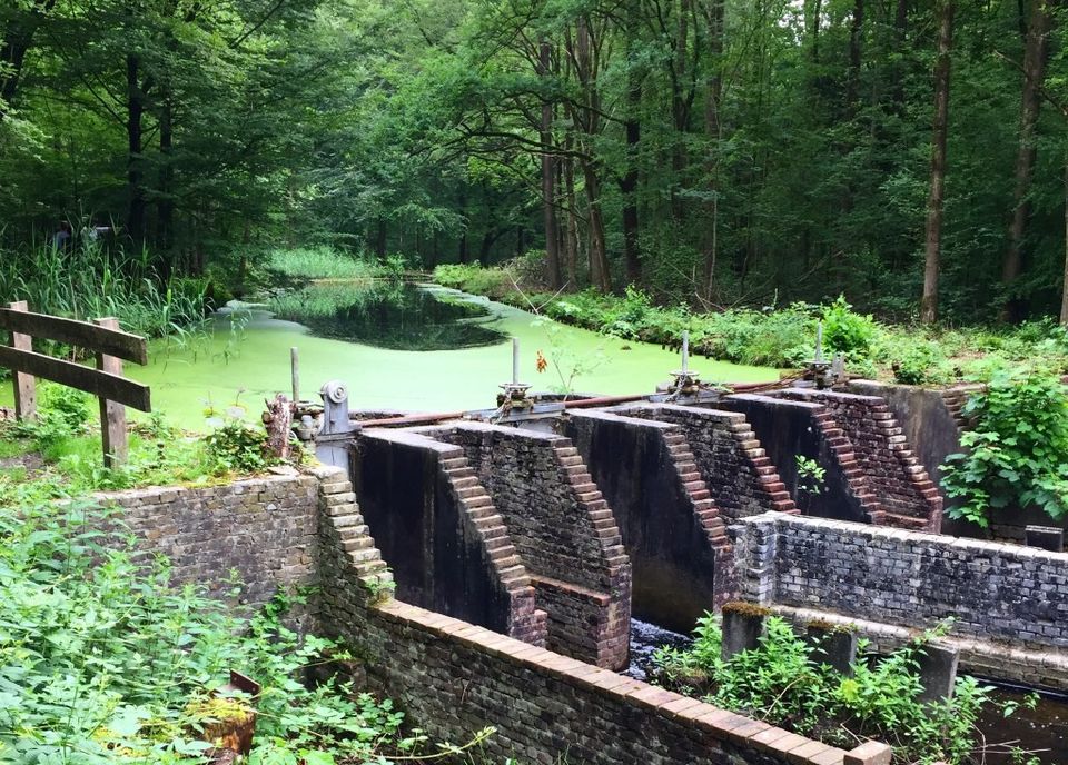 Waterloopbos Marknesse NOP Natuur Architectuur 1