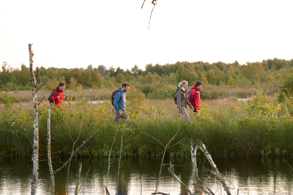 Mensen wandelen langs water in een natuurgebied.
