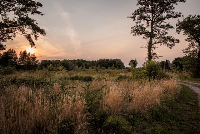 verrassend natuurlijke omgeving