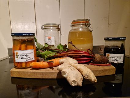 producten om te fermenteren