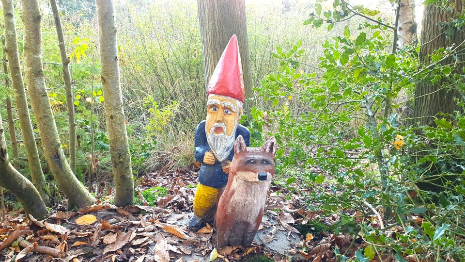 Kabouter in de bossen van Sint Nicolaasga.