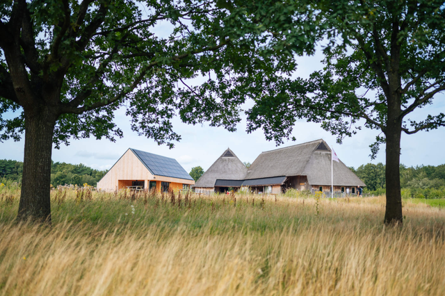 Een groepsaccommodatie omringt door natuur.