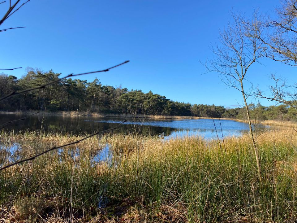 Het Brandeveen, hier werd vroeger het veen afgegraven.