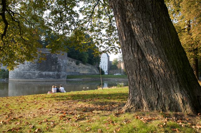 stadspark vijver picknicken jonathan vos maastricht marketing