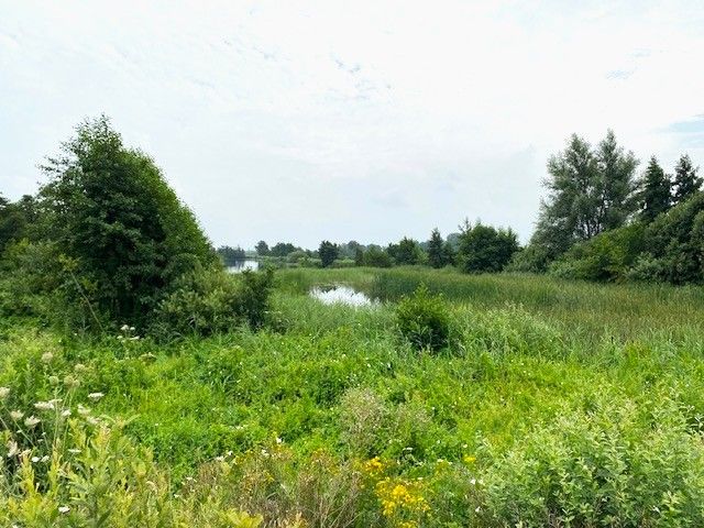 Uitzichtpunt Roodbaardpad