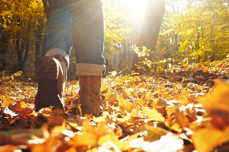 herfst wandeling
