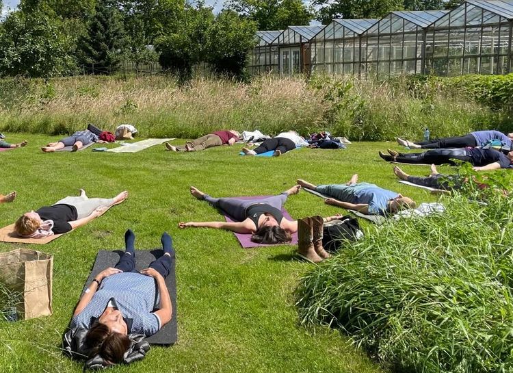 Personen die deelnemen aan een Yoga les in de oplucht op een veld. Op de achtergrond zijn bomen en tuinkassen te zien.