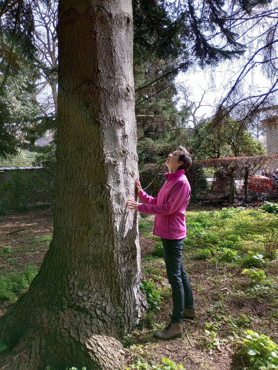 Bosbaden door contact te maken met een boom