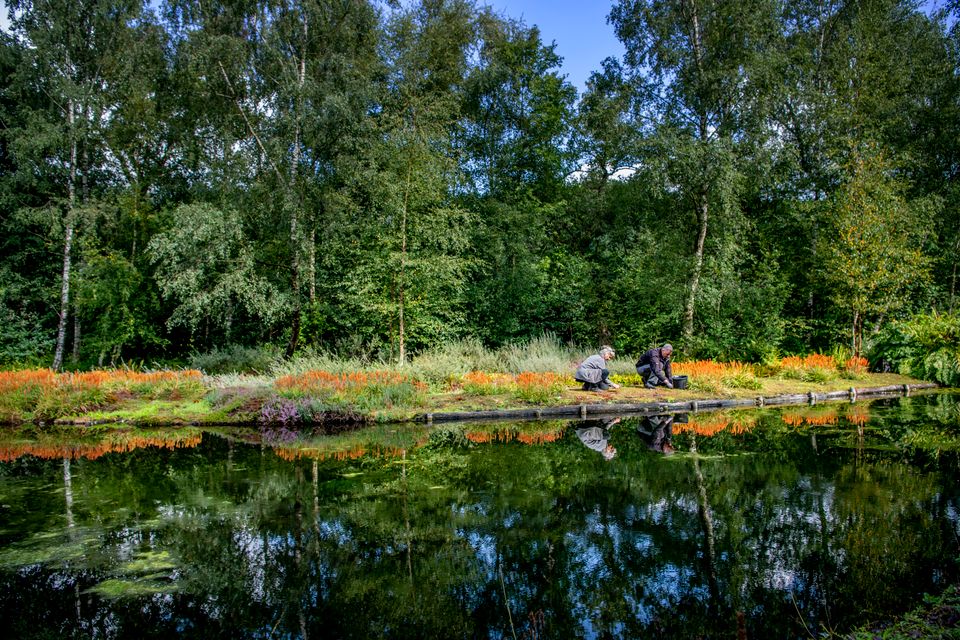 Overzichtsfoto van het heempark in Amstelveen. Er zijn twee medewerkers aan het werk.