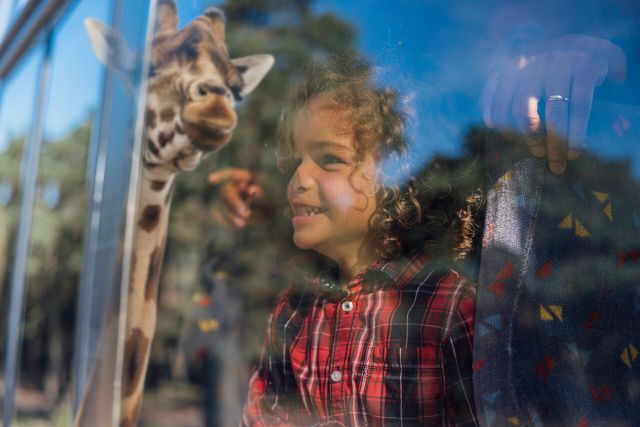 Safaripark Beekse Bergen