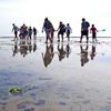 Ontwakend Wad met de Waddenvereniging