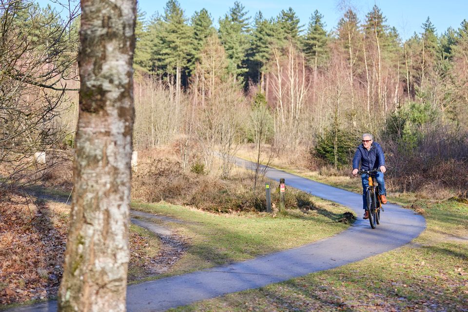 Fietser door de Kempische bossen