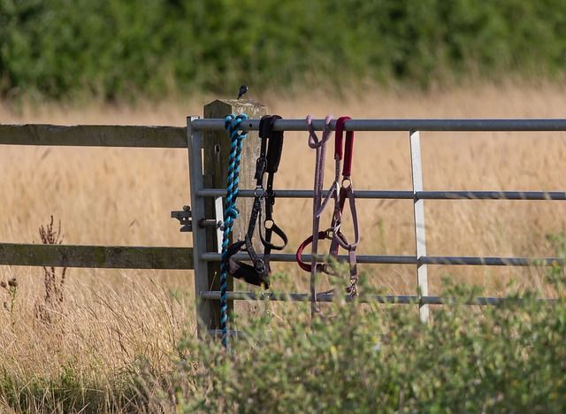 Paardrijden - rijuitrusting hangend op een hek