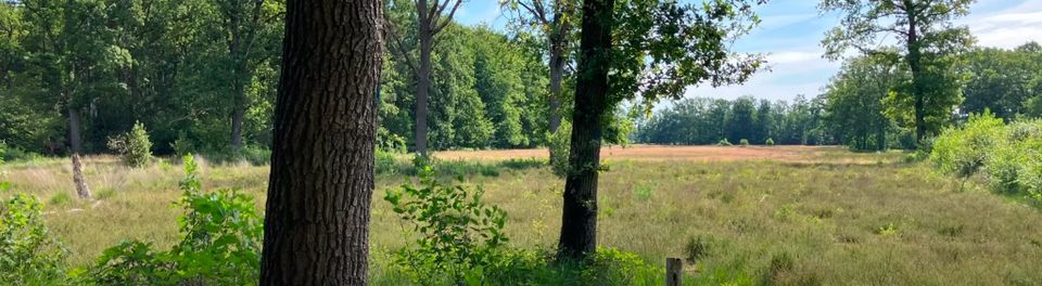 IVN-KNNV | Wandeling Willinks Weust