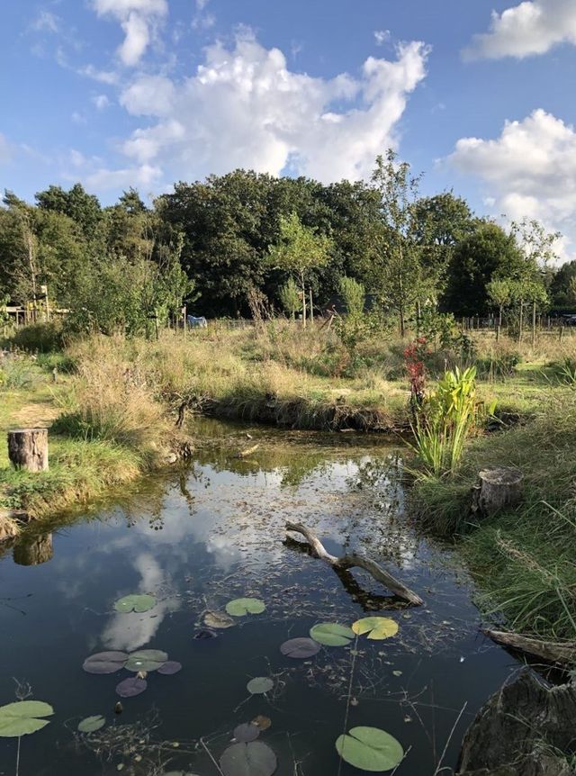 de krachtplaats