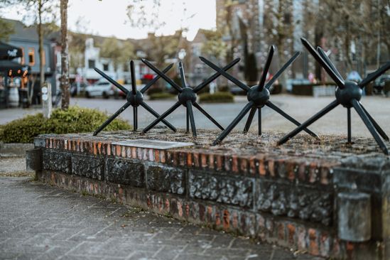 De spinnenkoppen / Friese Ruiters | VisitBrabant