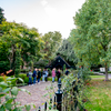 Groenwandeling